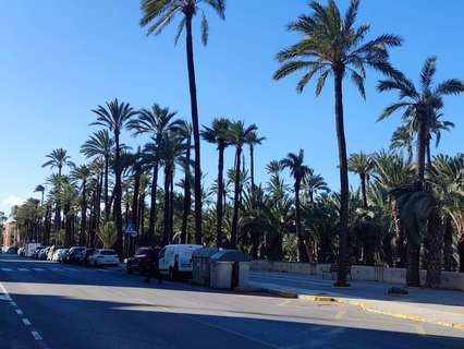 Local comercial en venta en Elche/Elx