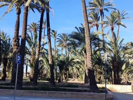 Local comercial en venta en Elche/Elx
