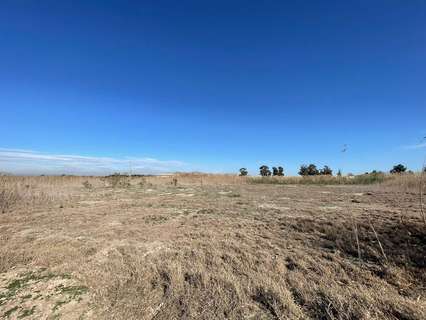 Parcela rústica en venta en Elche/Elx zona La Hoya