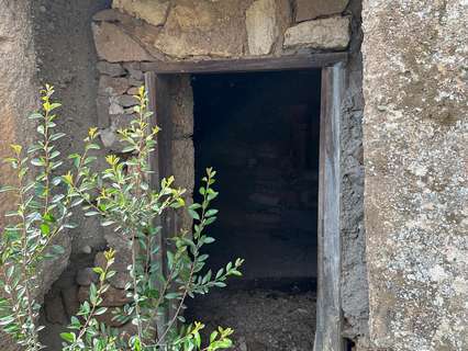 Parcela rústica en venta en Arico rebajada