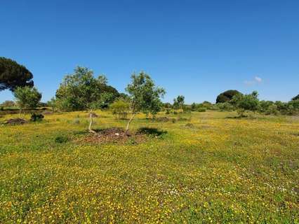 Parcela rústica en venta en San José del Valle