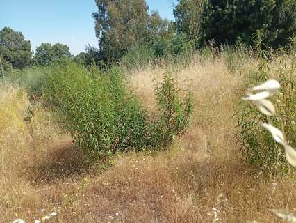 Parcela urbana en venta en Villanueva de la Vera