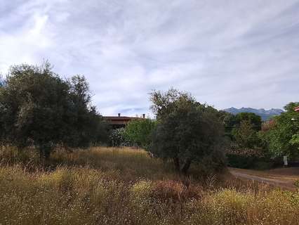 Parcela en venta en Madrigal de la Vera