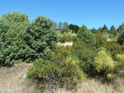 Parcela en venta en Robledo de Chavela