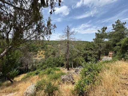 Parcela en venta en Santa María de la Alameda rebajada