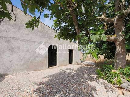 Parcela rústica en venta en Muro