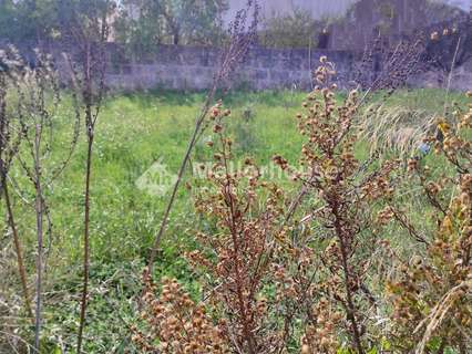 Parcela rústica en venta en Muro