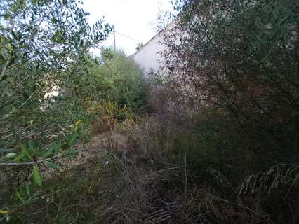 Parcela rústica en venta en Muro