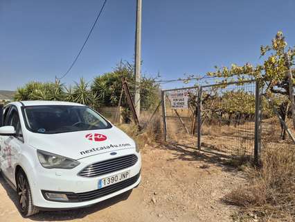 Parcela rústica en venta en Aspe
