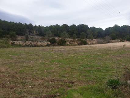 Parcela rústica en venta en Sant Pere de Ribes