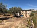 Parcela rústica en venta en Villar del Arzobispo