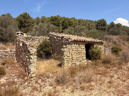 Parcela rústica en venta en Andilla
