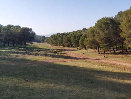 Parcela rústica en venta en Humilladero rebajada