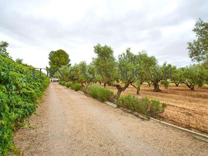 Chalet en venta en Biar