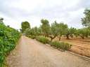 Chalet en venta en Biar