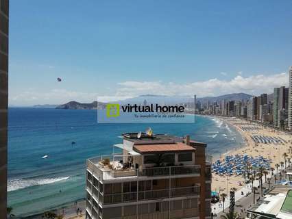 Piso en alquiler en Benidorm rebajado