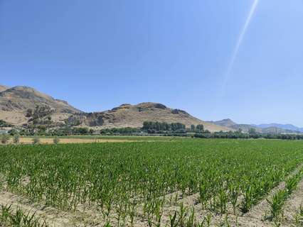 Parcela rústica en venta en Atarfe rebajada