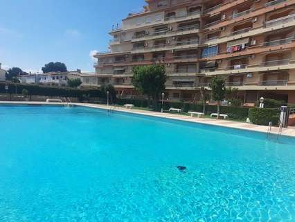 Apartamento en alquiler en Gandía