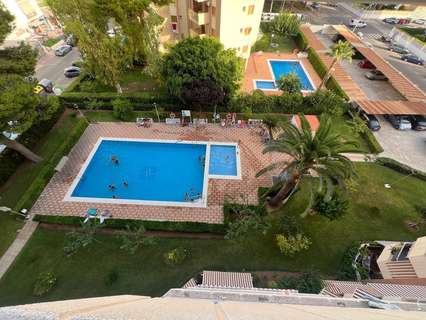 Apartamento en alquiler en Gandía