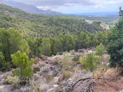 Parcela rústica en venta en Callosa d'En Sarrià