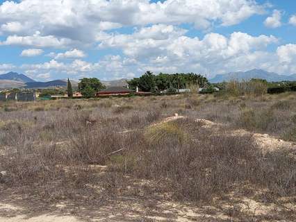 Parcela rústica en venta en Sant Vicent del Raspeig