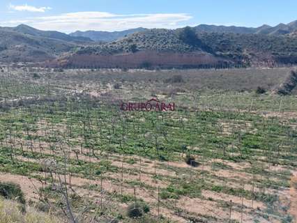 Parcela rústica en venta en Monforte del Cid