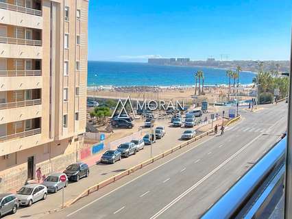 Apartamento en alquiler en Torrevieja