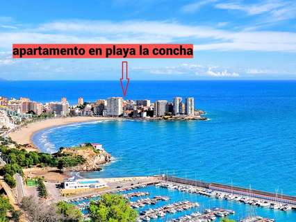Apartamento en alquiler en Oropesa del Mar