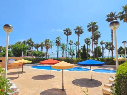Apartamento en alquiler en Oropesa del Mar