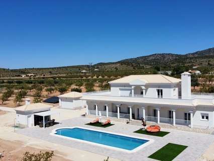 Villa en venta en El Pinós/Pinoso