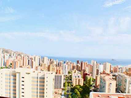 Apartamento en venta en Benidorm rebajado