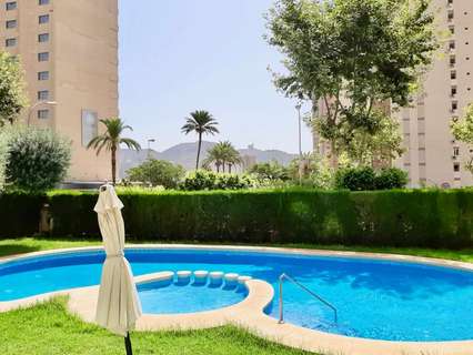 Apartamento en venta en Benidorm rebajado