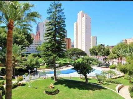 Apartamento en venta en Benidorm rebajado