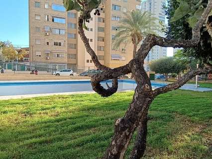 Piso en venta en Benidorm