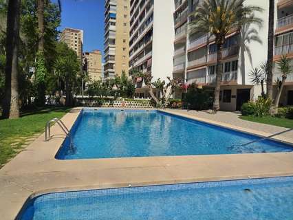 Apartamento en venta en Benidorm rebajado
