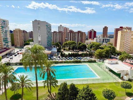 Estudio en venta en Benidorm