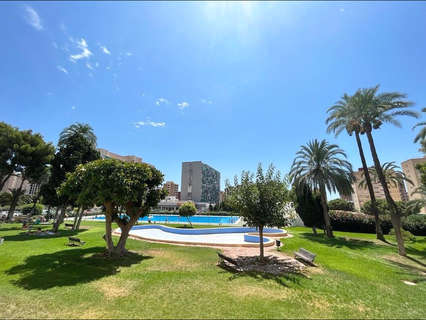 Estudio en venta en Benidorm