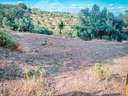Parcela rústica en venta en Córdoba rebajada