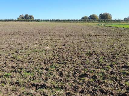 Parcela rústica en venta en Córdoba