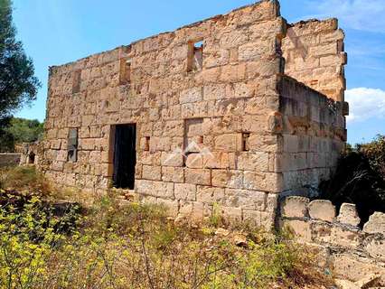 Parcela rústica en venta en Manacor