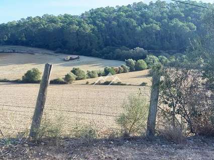 Parcela rústica en venta en Sant Joan