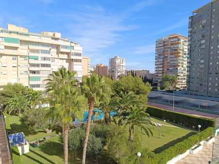 Piso en alquiler en Alicante