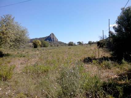 Parcela en venta en Llucmajor