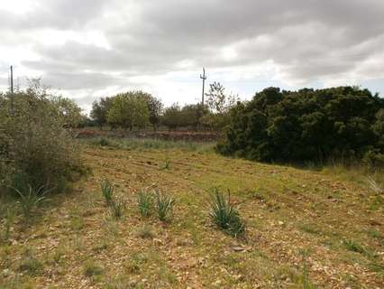 Parcela en venta en Algaida