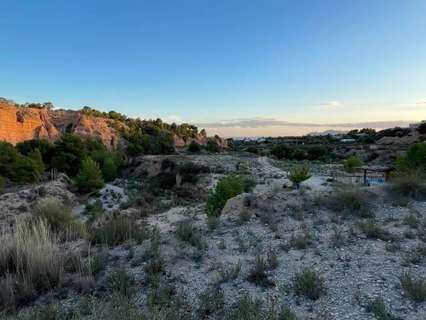 Parcela rústica en venta en Crevillent