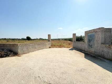 Parcela rústica en venta en Crevillent