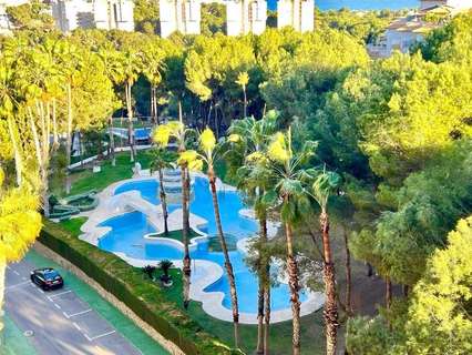 Apartamento en venta en Orihuela zona Orihuela-Costa