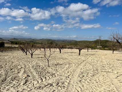 Parcela rústica en venta en Bullas zona Costa Calida