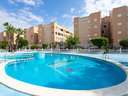Apartamento en alquiler en Torrevieja zona Torrevieja