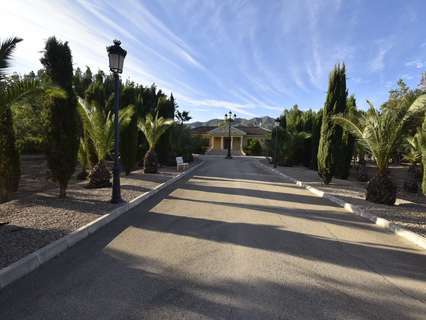 Finca en venta en Orihuela zona La Matanza